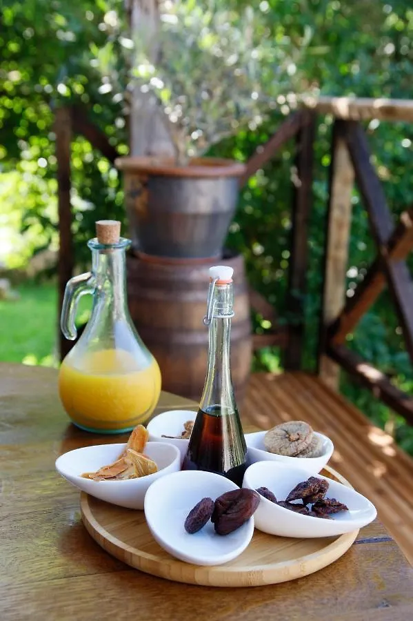 La Belle Riviere Bed & Breakfast Bolozon